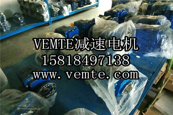 VEMT減速機(jī)電機(jī)制造廠家 (9)