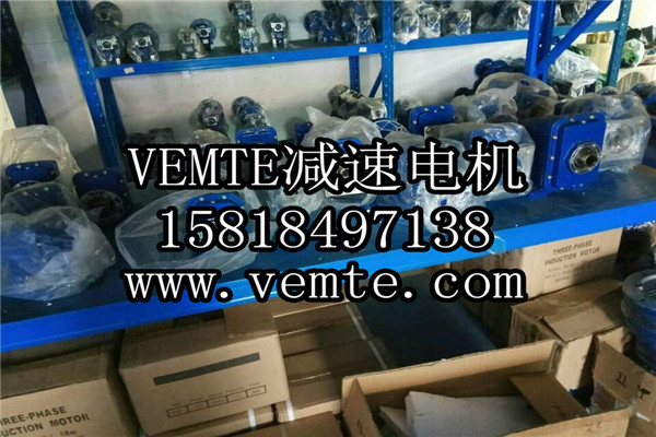 VEMT減速機電機制造廠家 (8)